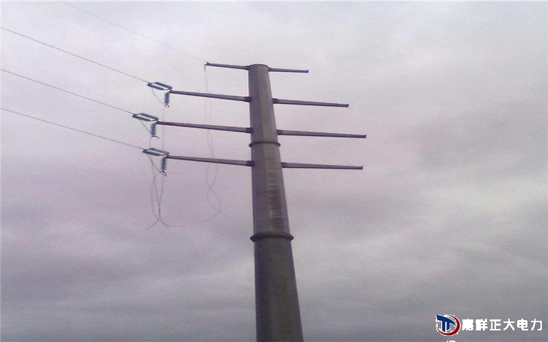 生产高压电线杆是在一定转速，产生足够的离心力，使水泥料形成中间空的电线杆的钢模中用蒸汽养护而成